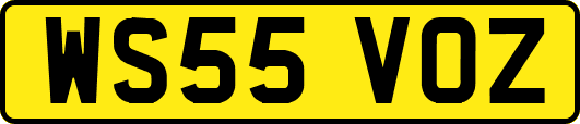 WS55VOZ