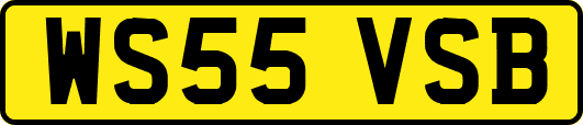WS55VSB