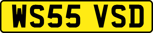 WS55VSD