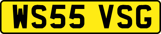 WS55VSG