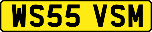 WS55VSM