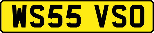 WS55VSO