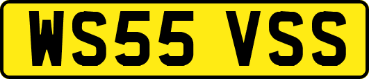 WS55VSS