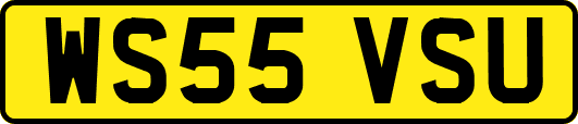 WS55VSU