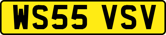 WS55VSV