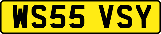 WS55VSY