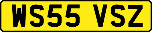 WS55VSZ