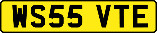 WS55VTE