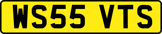 WS55VTS