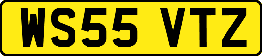 WS55VTZ