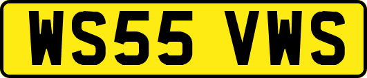 WS55VWS