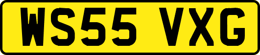 WS55VXG