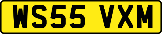 WS55VXM