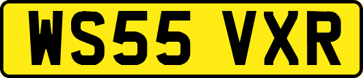WS55VXR