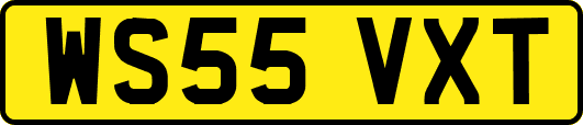 WS55VXT