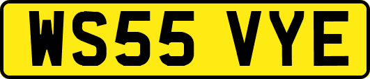 WS55VYE