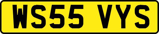 WS55VYS