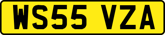 WS55VZA