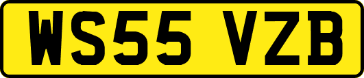 WS55VZB
