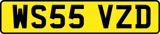 WS55VZD