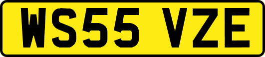 WS55VZE