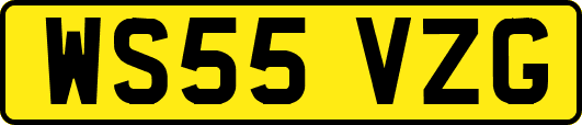 WS55VZG