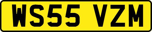 WS55VZM