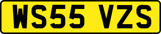 WS55VZS