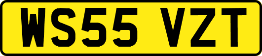WS55VZT