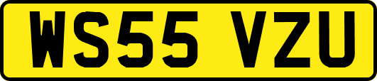 WS55VZU