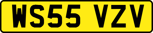 WS55VZV