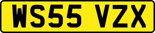 WS55VZX