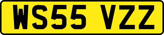 WS55VZZ
