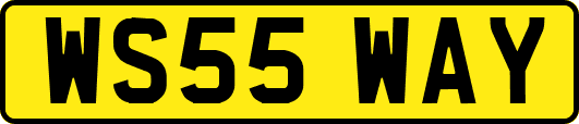 WS55WAY
