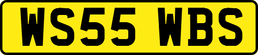 WS55WBS
