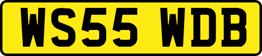 WS55WDB