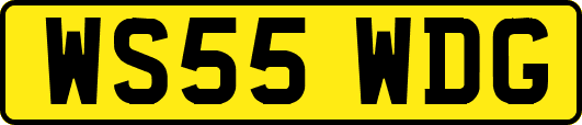 WS55WDG