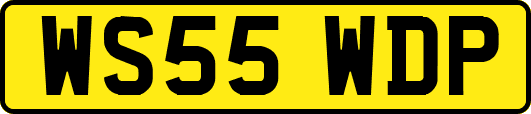WS55WDP