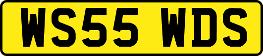 WS55WDS