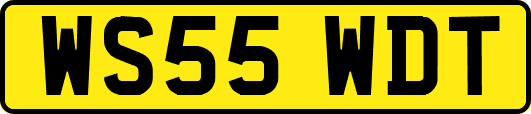 WS55WDT