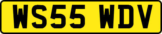 WS55WDV