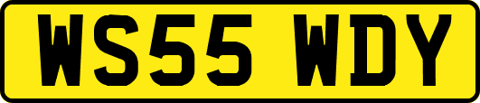 WS55WDY
