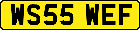 WS55WEF