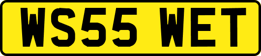 WS55WET