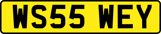 WS55WEY