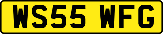 WS55WFG