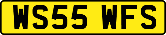 WS55WFS