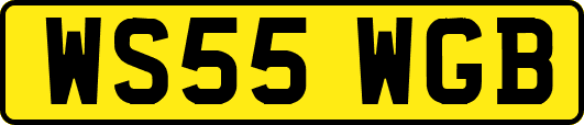 WS55WGB