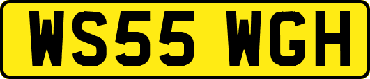 WS55WGH