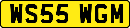 WS55WGM